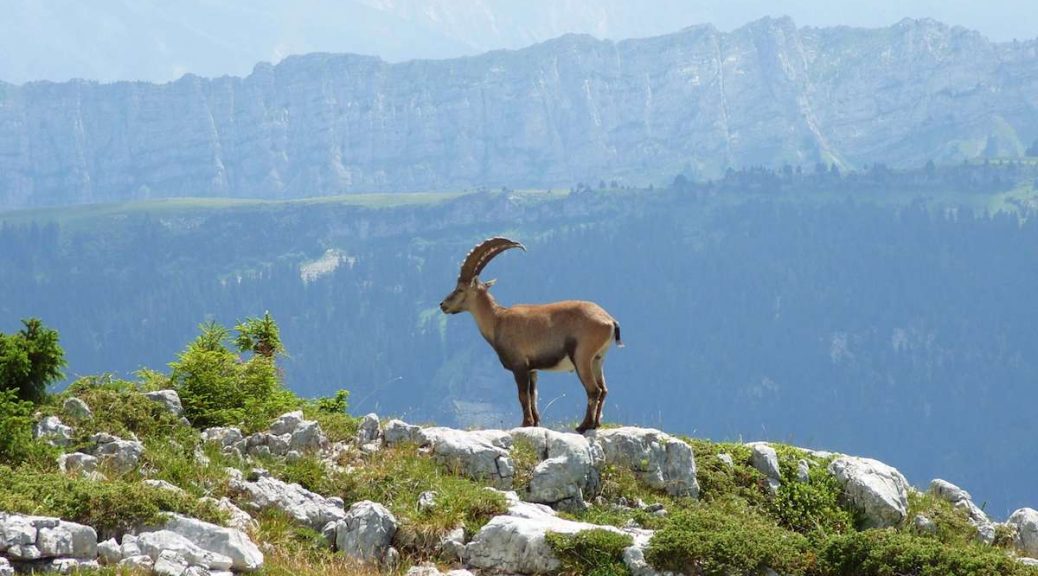 Randonnee montagne sous dine