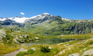 Parc de la vanoise