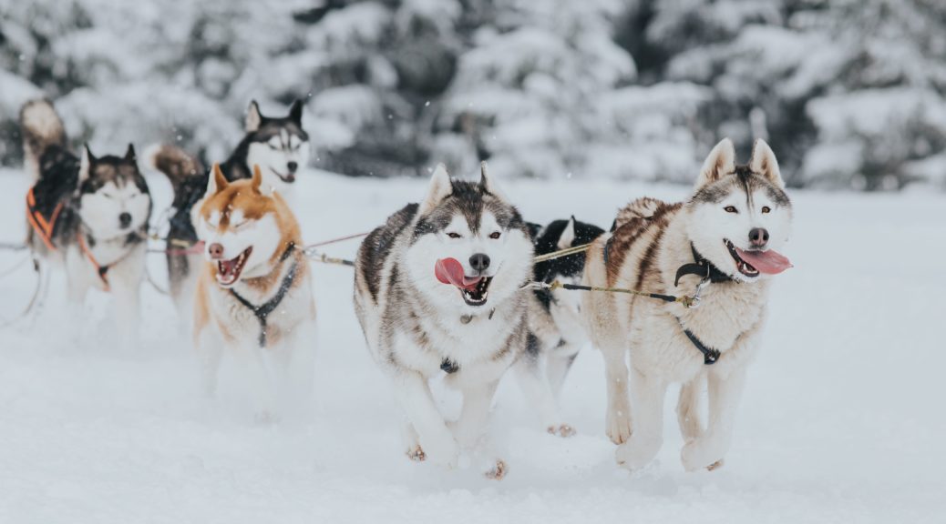 5 activités d'hiver incontournables autour d'Annecy