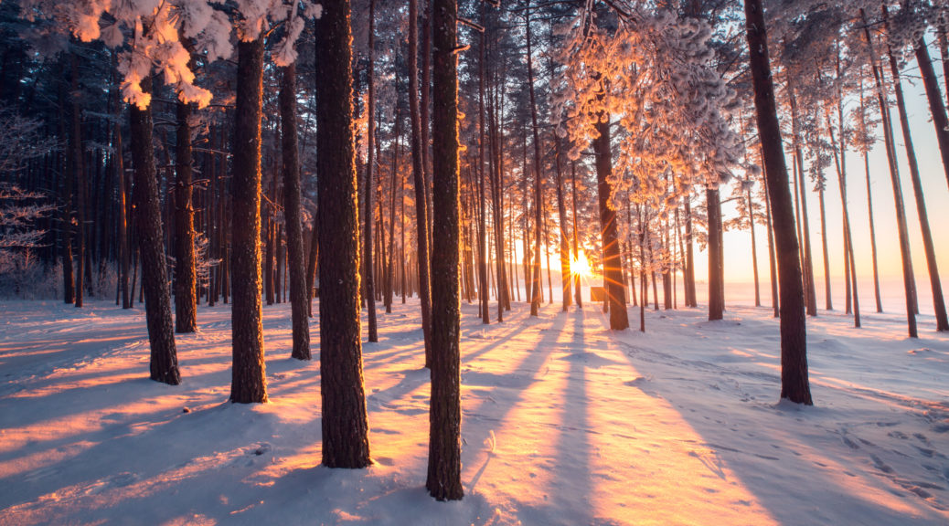 Top 4 des activités hivernales à pratiquer au domaine nordique des Glières