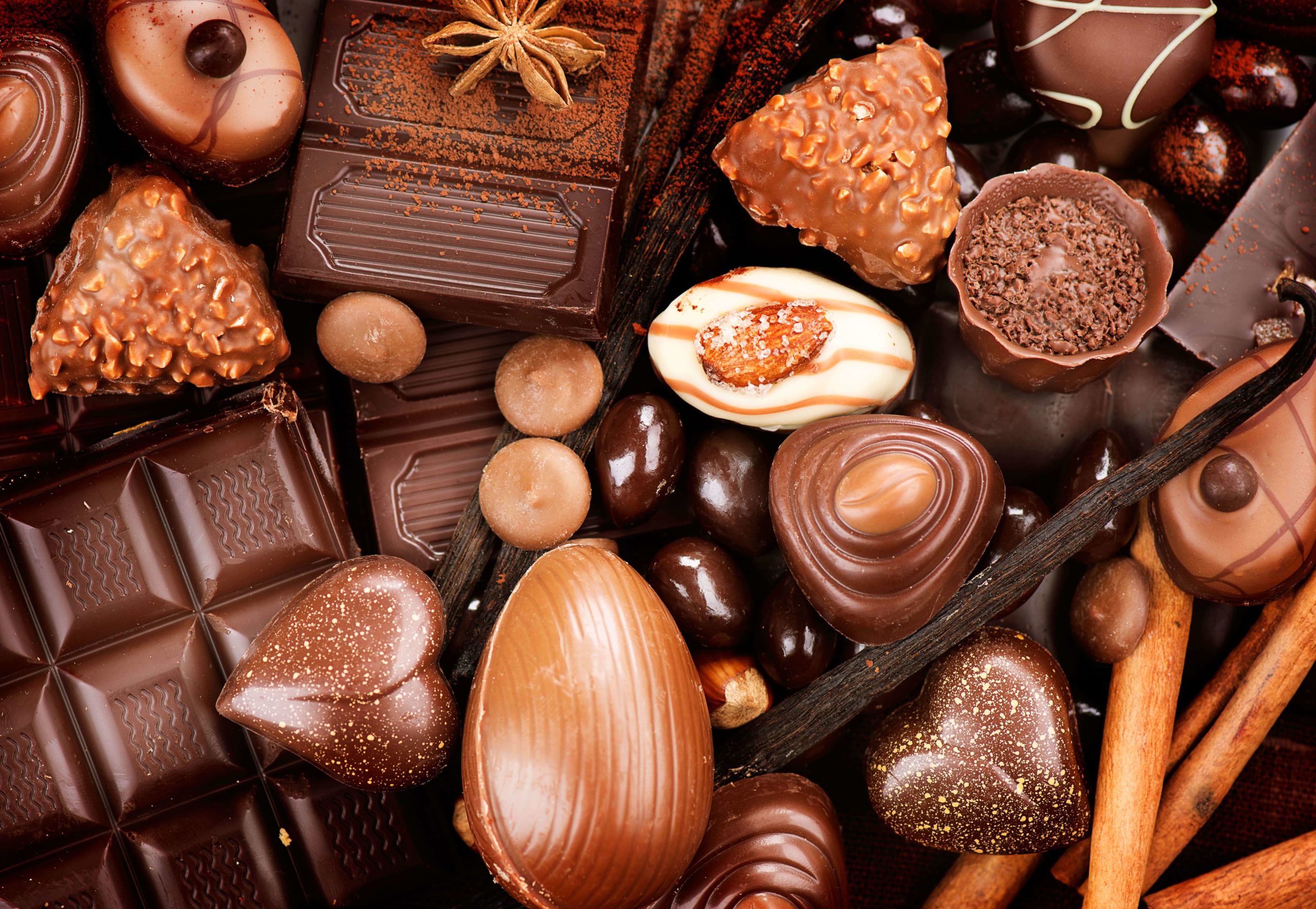 Top 5 des meilleures chocolateries d’Annecy Hôtel des Alpes